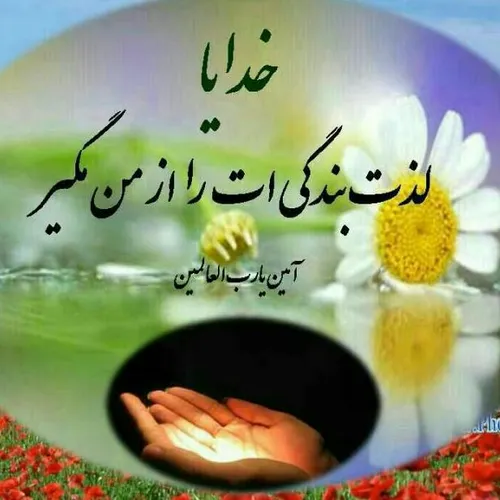 بارالها: