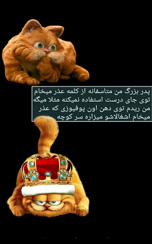 هههـِخخخ😸