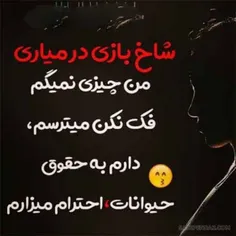 تیکه سنگین 