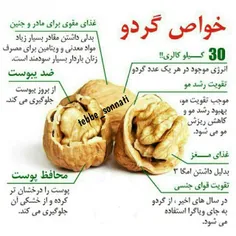 بله اینجوریاست گردو بخورید