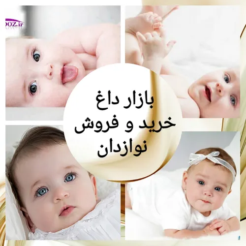 بازار داغ خرید و فروش نوازدان