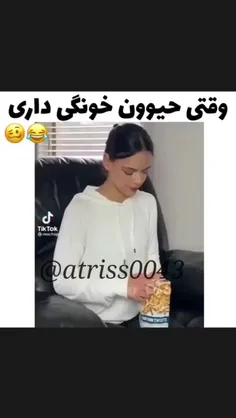 کیا حیوون خونگی دارن؟ 🙂🤌🏻