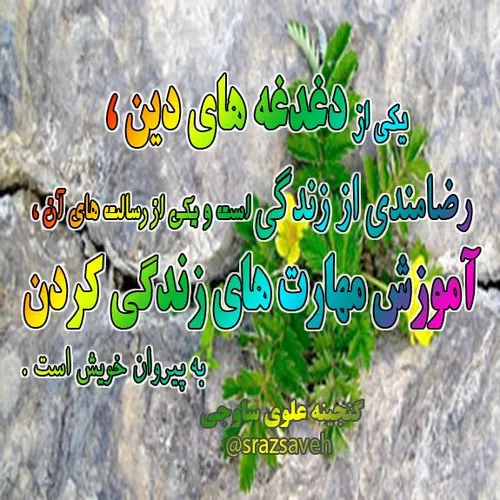 رضامندی از زندگی