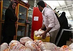 قیمت مرغ در قطب تولید مرغ استان اصفهان از دیگر استان‌ها ب