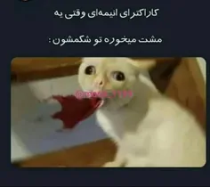 😂 😂 😂 سم خالص