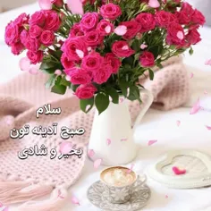 🌸ســــــــلام