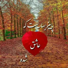 عکس نوشته setayeshghalbesorbi 22020262