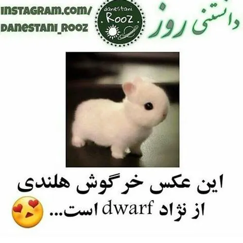 خیلی نازه💙 😍 😍 روز پدر هم مبارک 😘