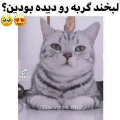 من عاشق گربه و سگ ها هستم🥰😍🥺😊💋💙🤍🖤👉👈