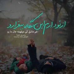 #نگاه_بیقرار