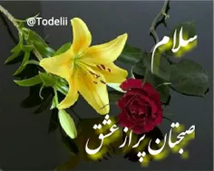 سلام به صبح