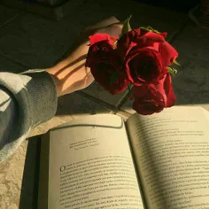 "فی #القراءة کما فی #الحبّ ،