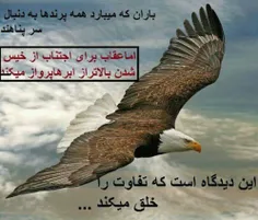 این دیدگاه است که تفاوت را خلق میکند...