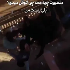 پلی لیست من و برادر: