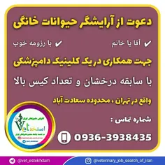 استخدام گرومر حیوانات خانگی در تهران