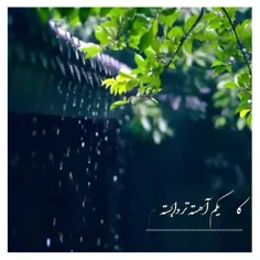 هركسى امیدی دارد 