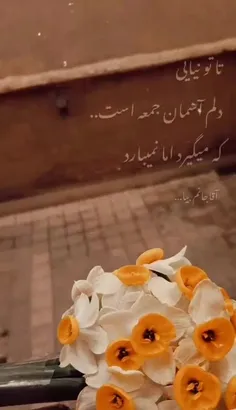 تا تو نیایی