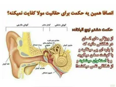 حقانیت مولا علی علیه السلام 