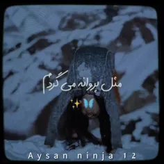 مثل پروانه میگردم دورت🤍🦋