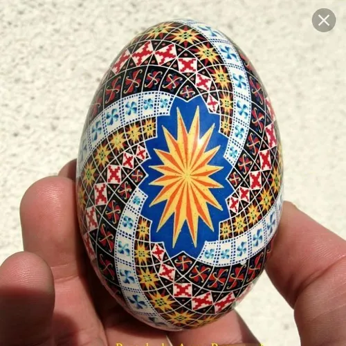 تخم مرغ های زیبا