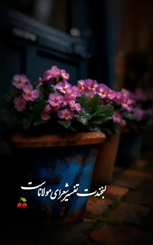 عکس نوشته