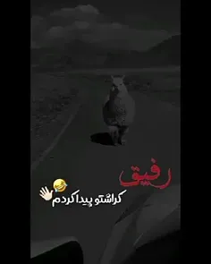 رفیق کراشتو پیدا کردم😂👋