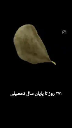 بشین بشمار چیپسعلی💔😂