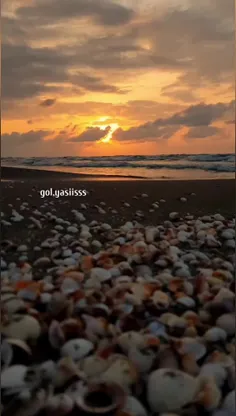 تو را اندازه‌ی سربازِ غمگینی که از بُرجک ،