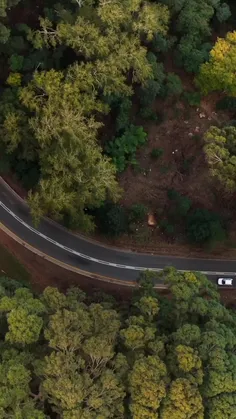 mojtaba_1995 76979404