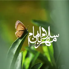 #سلام-علی-آل-یاسین