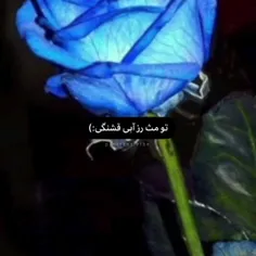 جوری که پست پایین داره لایکش به ۵٠٠ میرسههه🥹💕