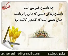 چه داستان غریبی است