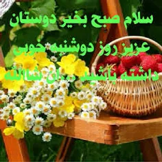 صبح دوستان بخیر دشادی