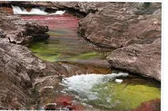 رودخانه رنگین کمان کانو کریستال، زیبا ترین رودخانه جهان: 