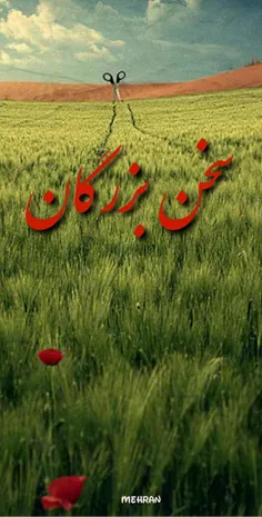 یخچال خانه ما را که باز کنی، خالی از هر چیزی هم که باشد، 