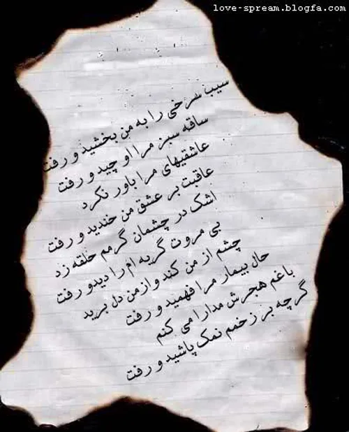 شعر زيبا