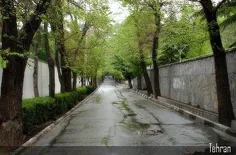 خیابان الهیه تهران