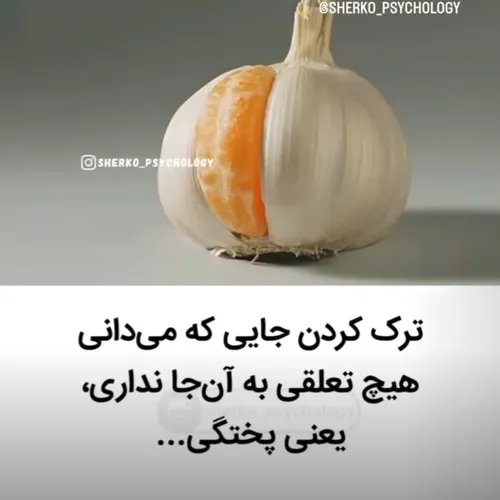 به جایی تعلق نداری وجودت تحقیر به خودت هست..!100%+