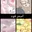 food_2025