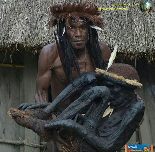 افراد قبیله دانی در گینه نو،جسد مردگان را بوسیله دود مومی