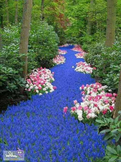یه باغ گل تقدیم به تمامی بچه های گل ویسگون!