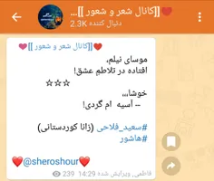 #سعید_فلاحی