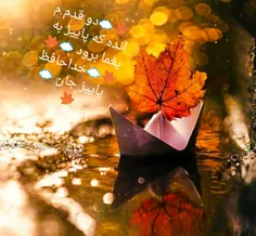 🍁☁ دو قدم مانده که پاییز به يغما برود .☁🍁