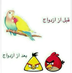 هههههههه