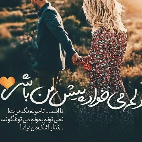 یـہ تـ ار مـ وش کہ سهلہ...!••͜