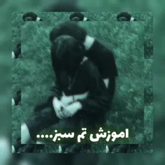 اموزش تم سبز...