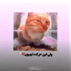 برادر منظورت چیههه😭😭