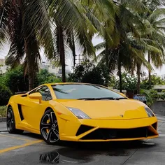 Lamborghini-Gallardo