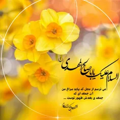 #السلام‌علیک‌یااباصالح‌المهدی عج