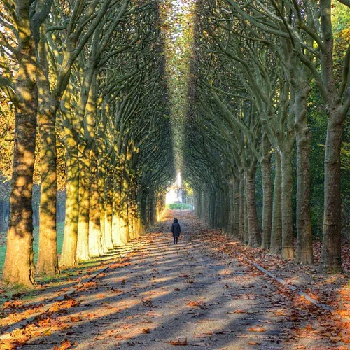 Alone in the park